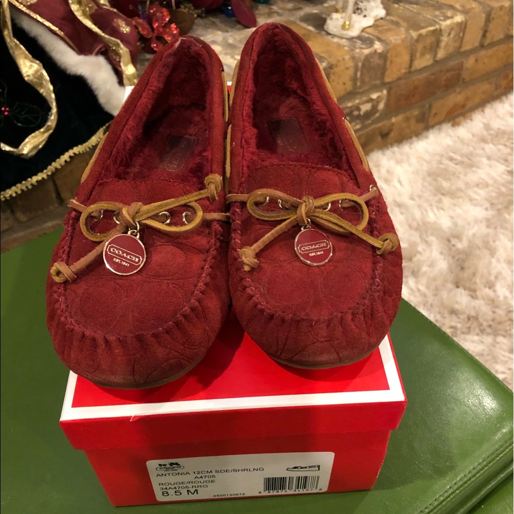 Coach Antonia suede shearling moccasin
